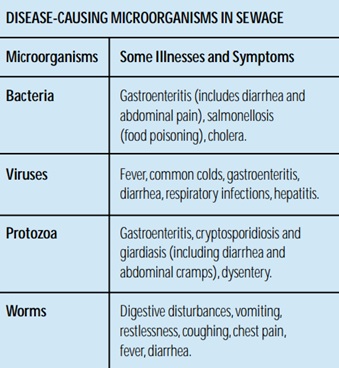 Disease-causing microorganisms in run-off