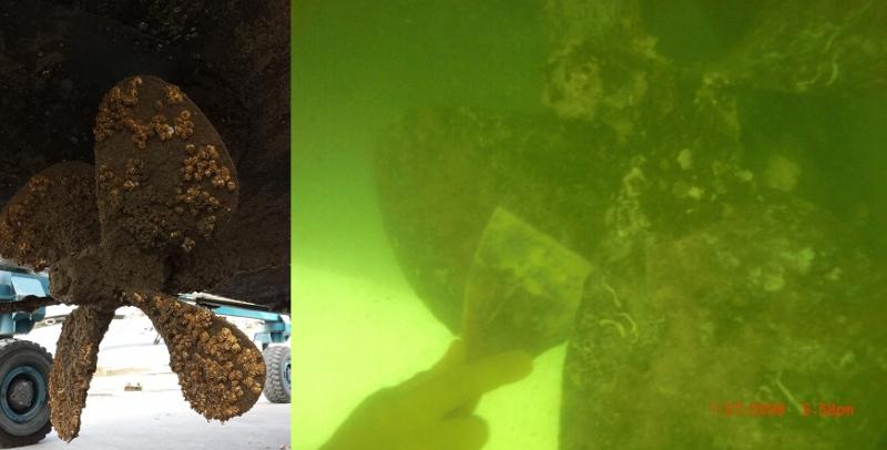 Fouled Props, Anne Arundel Dive Services